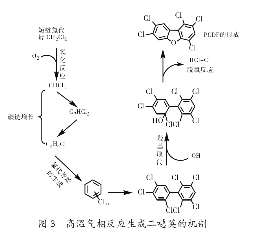 二噁英生成机理.png